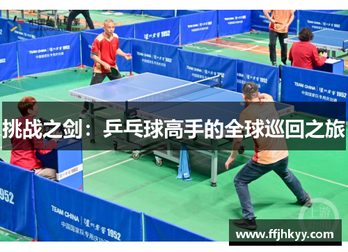 挑战之剑：乒乓球高手的全球巡回之旅