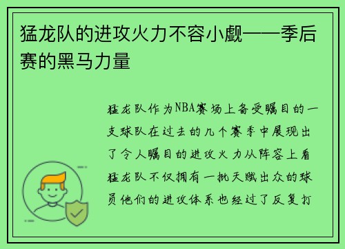 猛龙队的进攻火力不容小觑——季后赛的黑马力量
